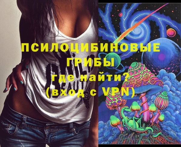 стафф Баксан
