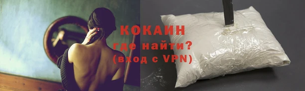стафф Баксан