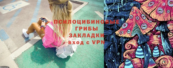 apvp Балахна